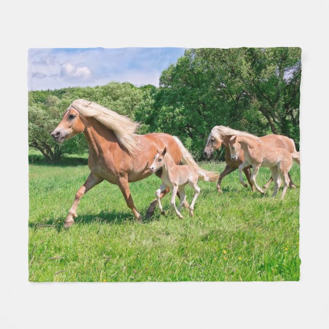 Couverture Polaire Des chevaux haflinger aux petits poulains font tou (Devant (Horizontal))