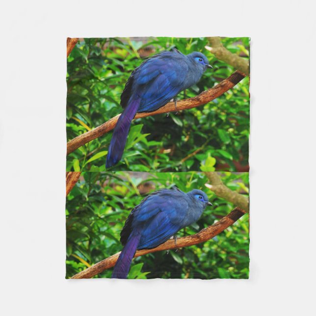 Couverture Polaire Destins bleus de destin d'anniversaires d'oiseau (Devant)
