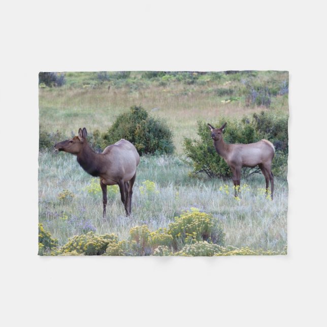 Couverture Polaire Elk américain | Colorado (Devant (Horizontal))