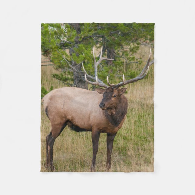 Couverture Polaire Elk Lake Village Yellowstone National Park Wyoming (Devant)