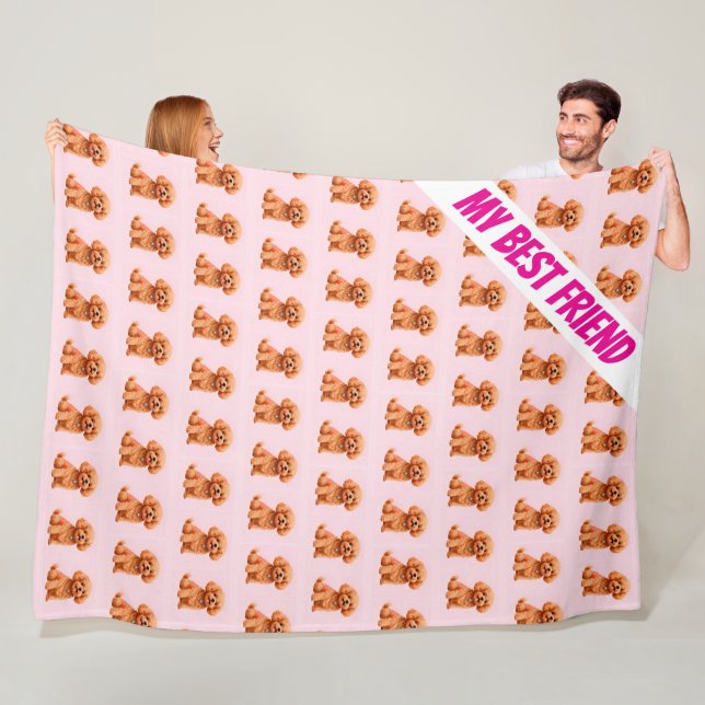 Couverture Polaire Entretien de chien Collection moderne personnalisé (En situation)