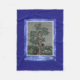 Couverture Polaire Et Une Porcupine Dans Un Pin Tree