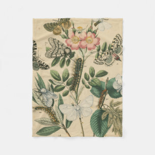 Couverture Polaire Étapes de la vie de papillon par le studio de