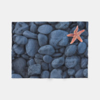 Étoiles de mer sur les roches noires le long de la