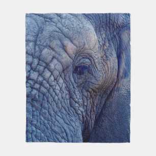 COUVERTURE POLAIRE EXPÉRIENCE MARCHER AVEC LES ÉLÉPHANTS COMMENT ET H