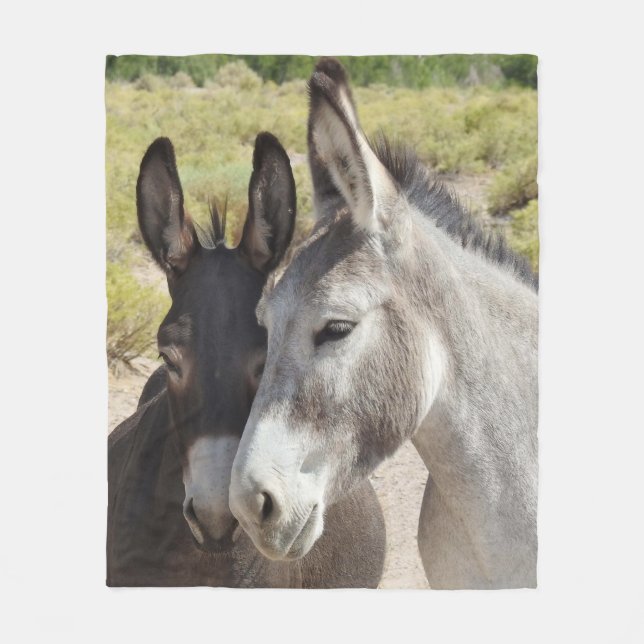 Couverture Polaire Faune couverture, burros sauvages, nature, animaux (Devant)