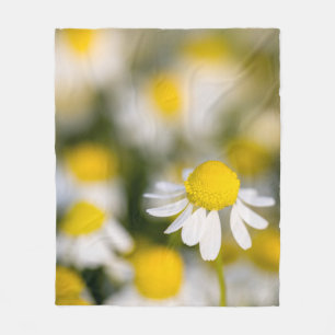 Couverture Polaire Fleur de camomille en gros plan, Hongrie