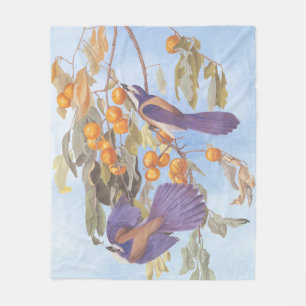 Couverture Polaire Floride Scrub Jay Audubon Bird Pair sur Orange Tre