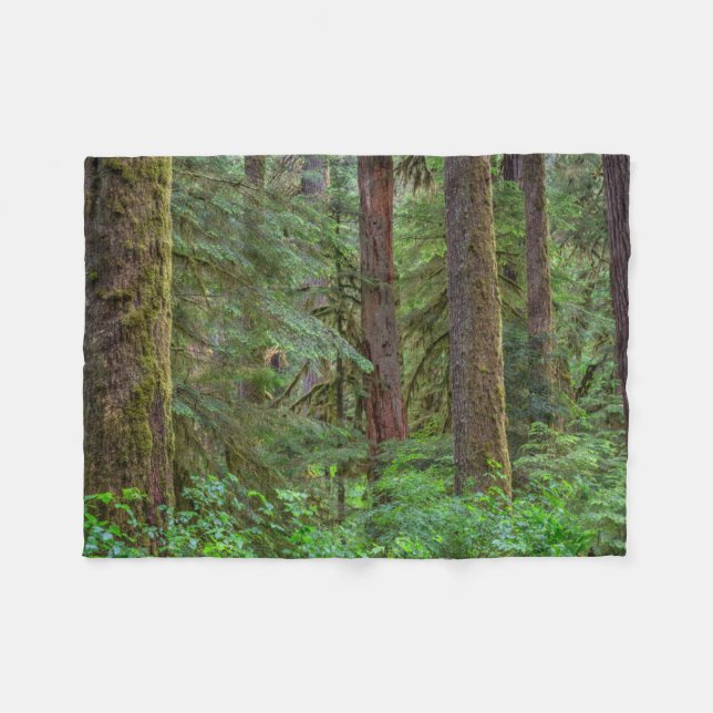 Couverture Polaire Forêt nationale de Willamette | Oregon (Devant (Horizontal))