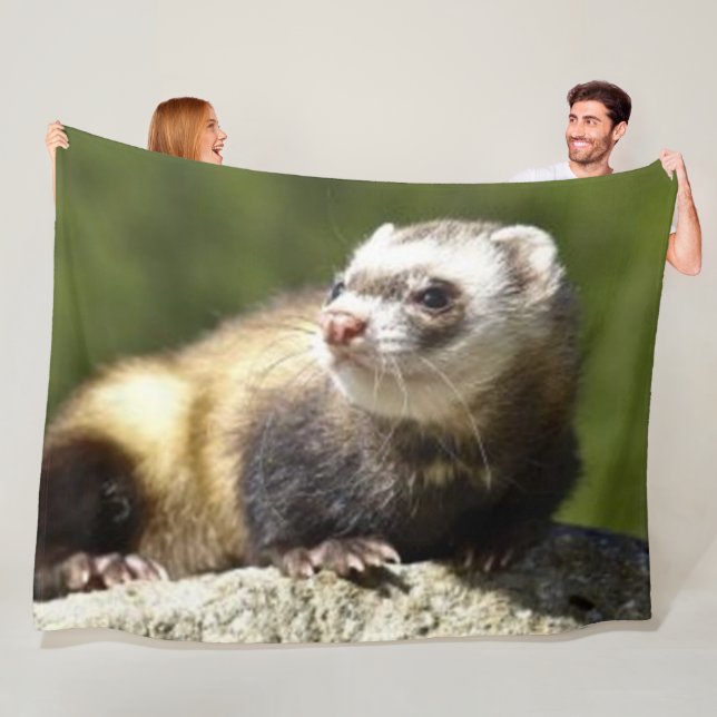 COUVERTURE POLAIRE FURET (En situation)