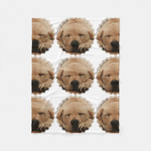 Couverture Polaire Golden retriever