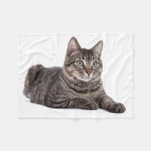 Couverture Polaire Gray Tabby Cat