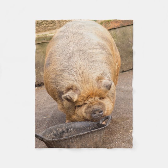 Couverture Polaire Gros porc (Devant)