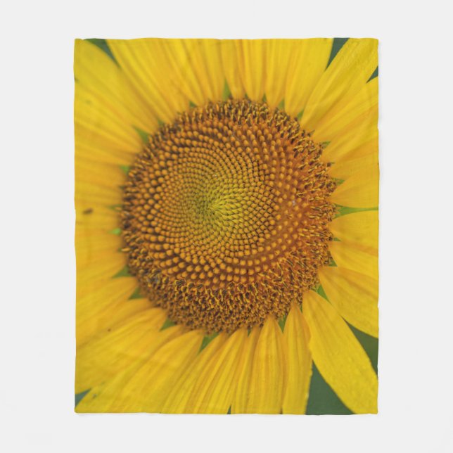 Couverture Polaire Grotte de tournesol rapprochée (Devant)