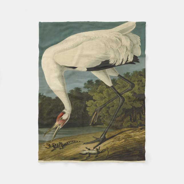 Couverture Polaire Grue blanche Audubon Peinture d'oiseaux (Devant)