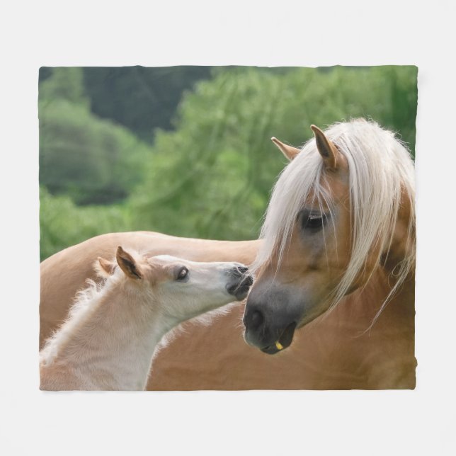 Couverture Polaire Haflinger Horses Foal et Mare bouddhisme, confort (Devant (Horizontal))