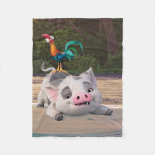 Couverture Polaire Heihei et Pua Playtime