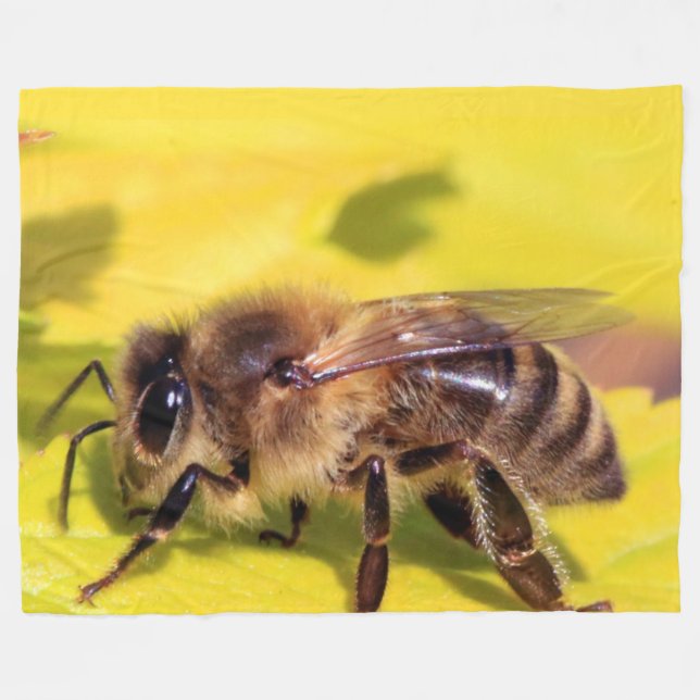 COUVERTURE POLAIRE HONEY BEE (Devant (Horizontal))