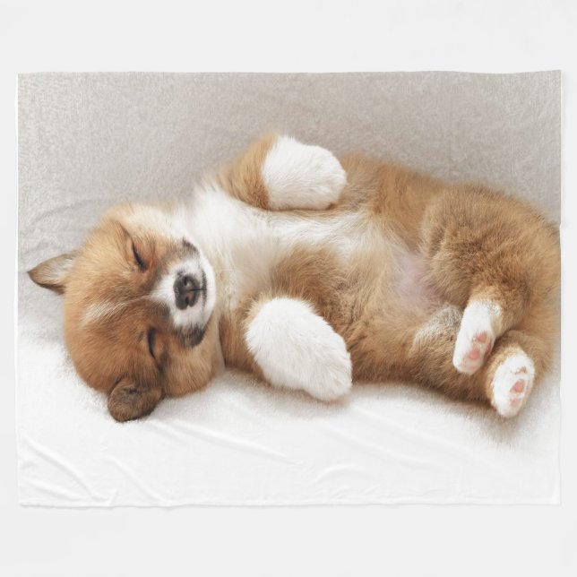 COUVERTURE POLAIRE J'AI ÉTÉ DÉPOSÉ (Devant (Horizontal))