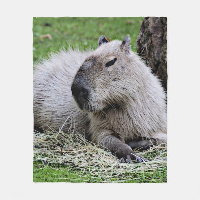 Couverture Polaire Joli capybara (Devant)