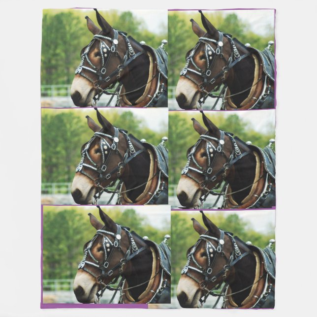 Couverture Polaire jours de mule (Devant)