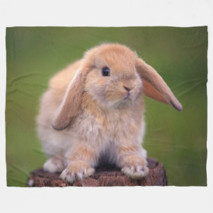 COUVERTURE POLAIRE LAPIN DE CARESSE