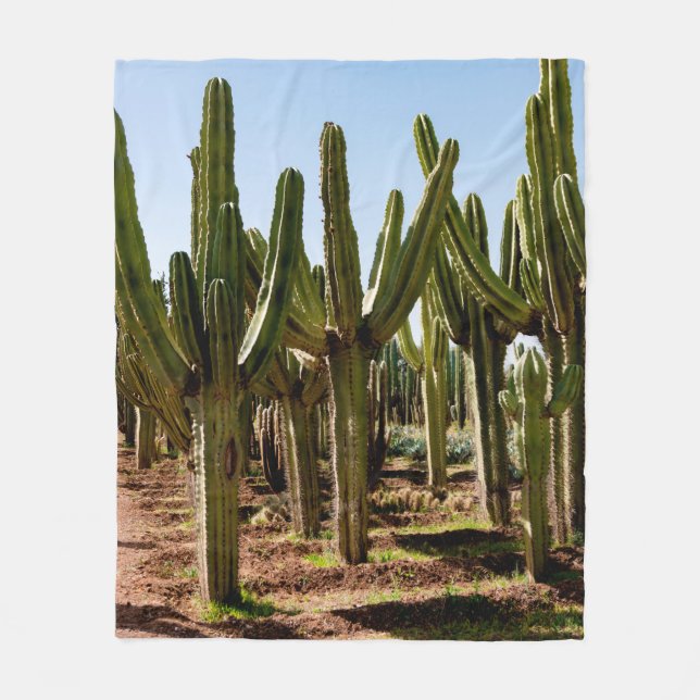 Couverture Polaire Le jardin des cactus. De grands cactus verts et de (Devant)