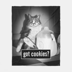 Couverture Polaire Le Lait De Chat De Juge