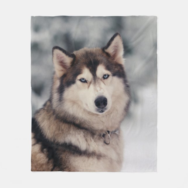 Couverture Polaire Le magnifique Husky en plein air (Devant)