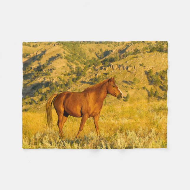 Couverture Polaire Le sanctuaire des chevaux sauvages. (Devant (Horizontal))