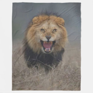 COUVERTURE POLAIRE LION