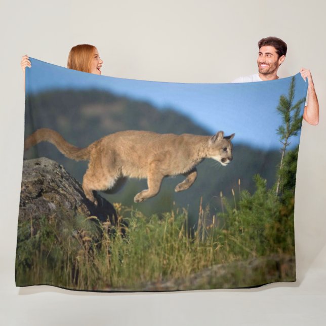 COUVERTURE POLAIRE LION DE MONTAGNE (En situation)