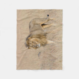 Couverture Polaire Lion marche