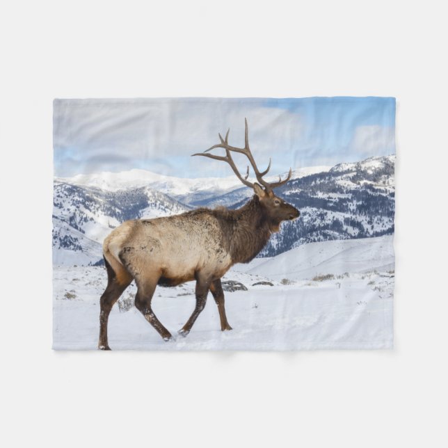 Couverture Polaire Lone Bull Elk | Parc national de Yellowstone (Devant (Horizontal))