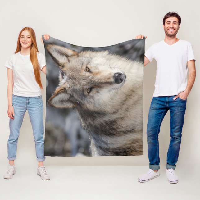 Couverture Polaire Loup (En situation)