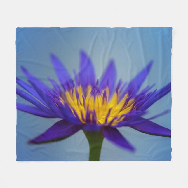 Couverture Polaire Lys d'eau violet (Devant (Horizontal))