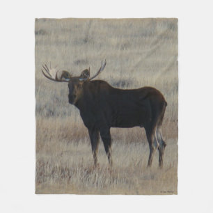 Couverture Polaire M4 Orignal à élan