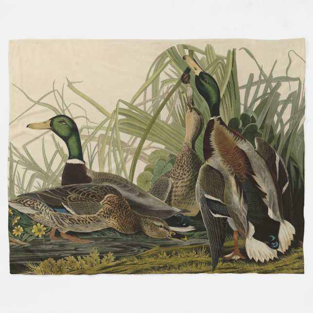 Couverture Polaire Mallard Duck from Audubon's Birds of America (Devant (Horizontal))