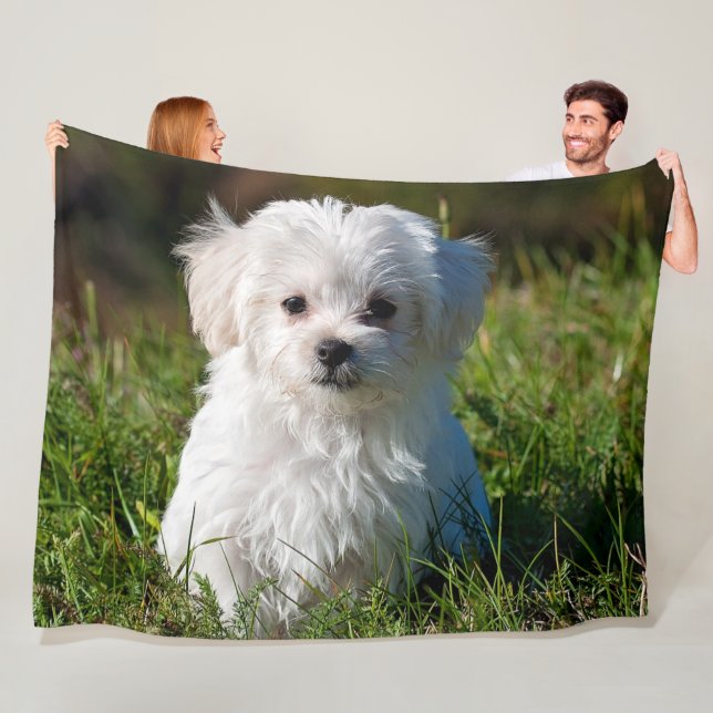 COUVERTURE POLAIRE MALTESE PUPPY (En situation)