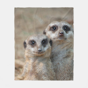 Couverture Polaire Meerkat 047