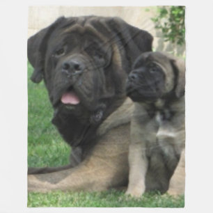 Couverture Polaire MÈRE et CHIOT de MASTIFF