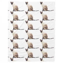 Minous mignons d'animaux de ronronnement d'animal