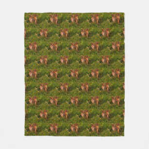 Couverture Polaire Modèles d'art de la nature animale des bébés tamia