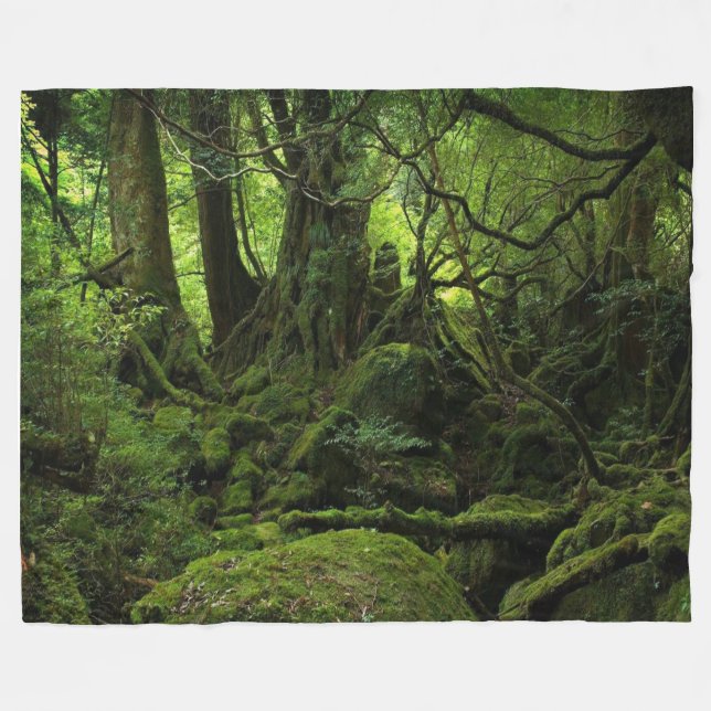 COUVERTURE POLAIRE MOSS HOLLOW (Devant (Horizontal))