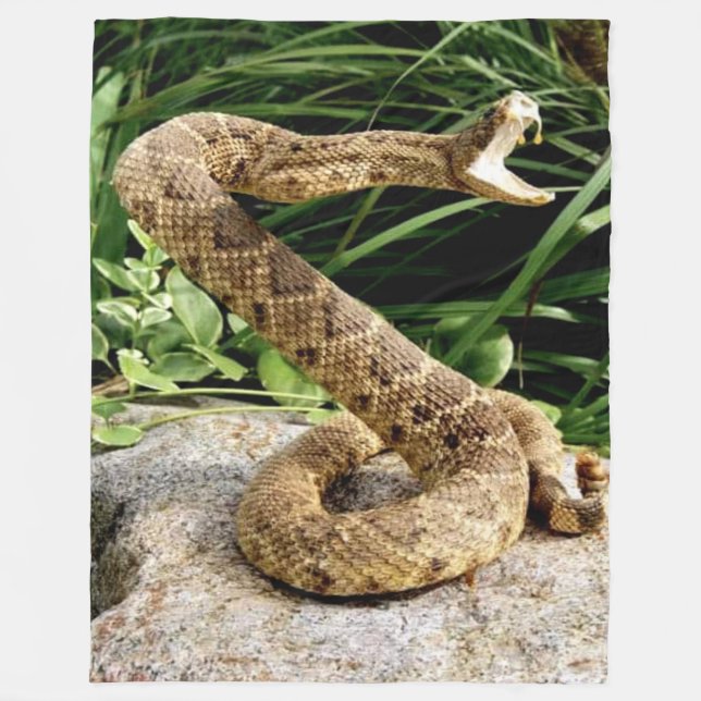 COUVERTURE POLAIRE NAKE 2 DE RATTLE (Devant)