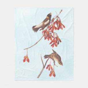 Couverture Polaire Oiseaux de brume de riz d'Audubon ou oiseaux Bobol