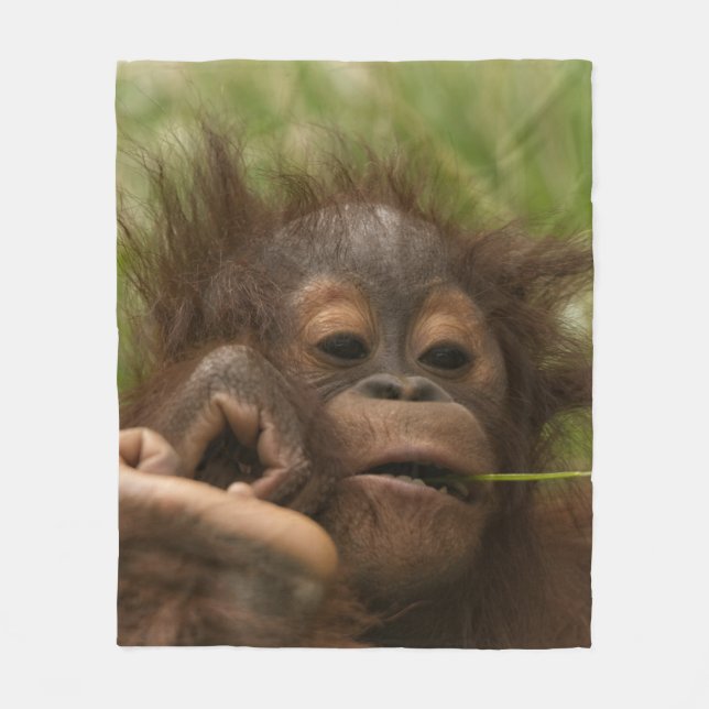 Couverture Polaire Orangutan Baby (Devant)