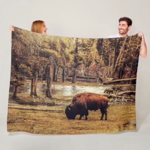 COUVERTURE POLAIRE OÙ LE ROAM DU BUFFALO