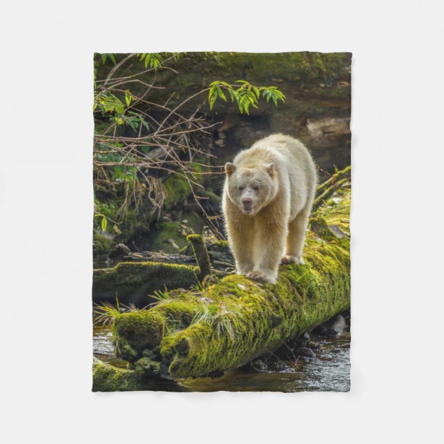 Couverture Polaire Ours d'esprit blanc | Colombie-Britannique, Canada (Devant)