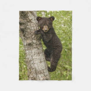 Couverture Polaire Ourson noir dans un arbre